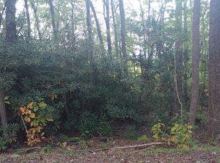 Tbd Seldon Emerson Rd, Cedar Mountain, NC 28718