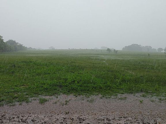 6+ acres lush pasture