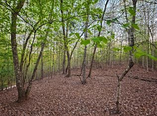 LOT 5 Riverbend Mnr, Blue Ridge, GA 30513