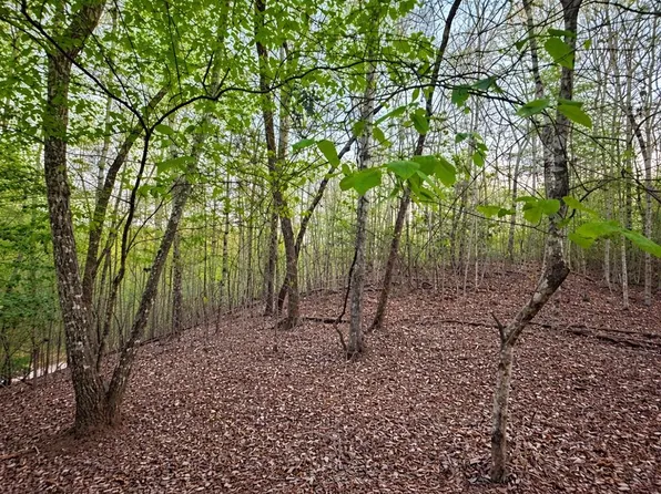 LOT 5 Riverbend Mnr, Blue Ridge, GA 30513