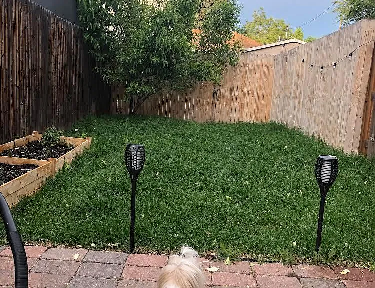 Pet friendly, with a yard!