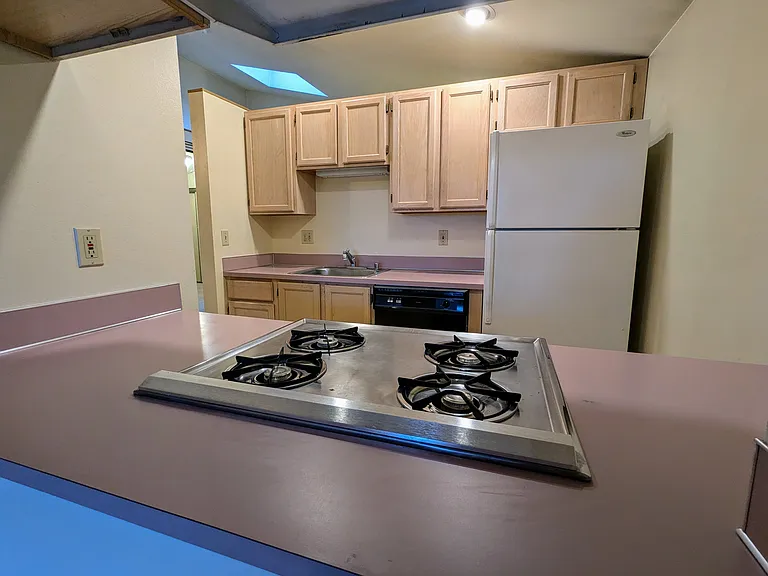 302 Kitchen with gas fireplace, dishwasher, and garbage disposal