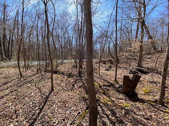 4th image of 0 Branch Rd