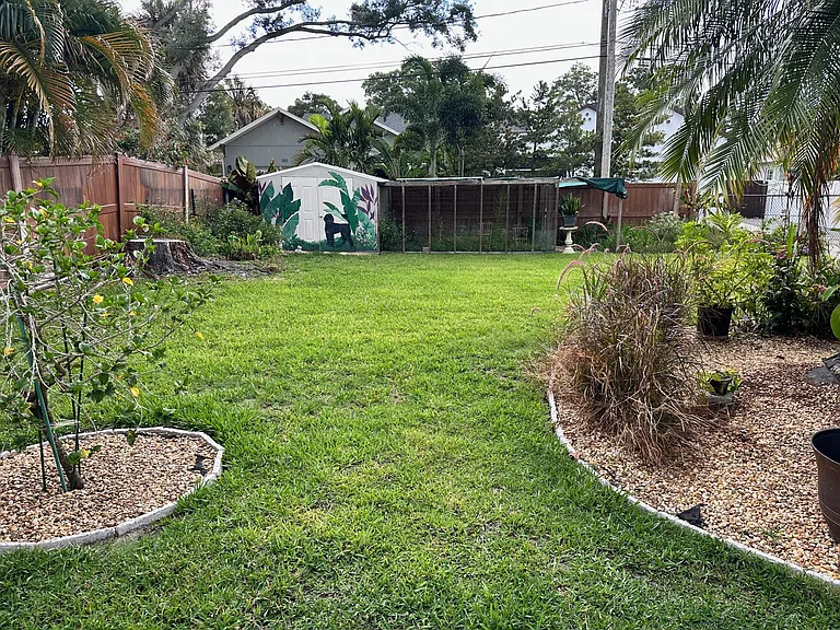 Backyard