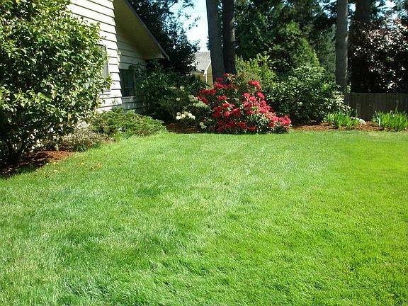 Front yard from driveway