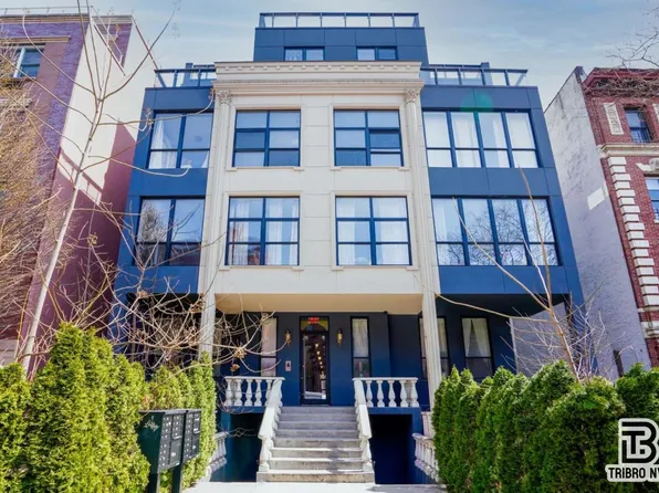 489 Washington Avenue image 9 of 9
