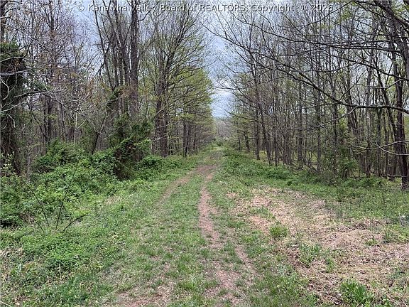 3rd image of 0 Bendview Dr