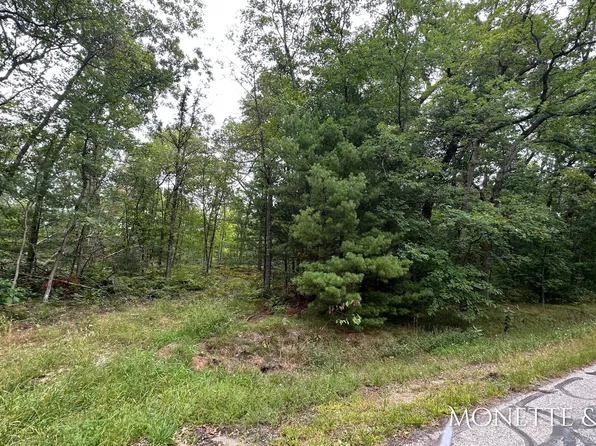 0 E Michillinda Rd Parcel B, Twin Lake, MI 49457