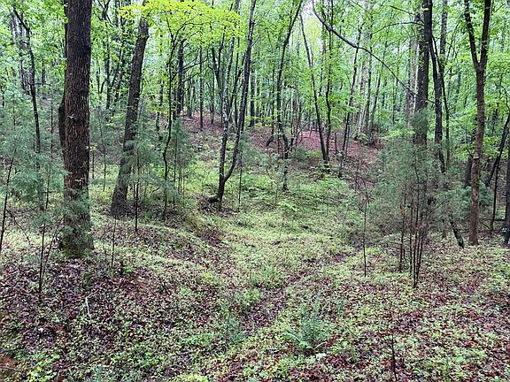 5th image of 0 Count Gravel Rd