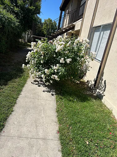 41618 Marine Dr #41620 Photo 1 41618 Marine Dr #41620 Photo 1