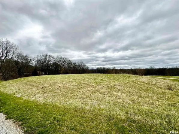 LOT 20 58th St, New Boston, IL 61272