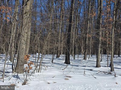 Morman Church Rd, Waynesboro, PA, 17268