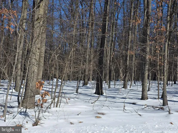 Morman Church Rd, Waynesboro, PA 17268