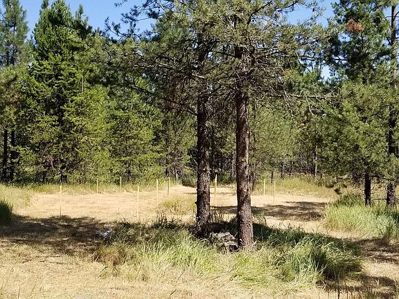 5th image of Nna Ponderesa Ranch Rd