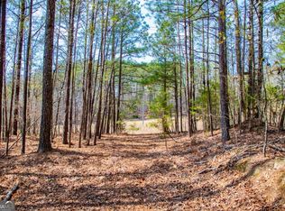 3940 Clinton Ct, Villa Rica, GA 30180