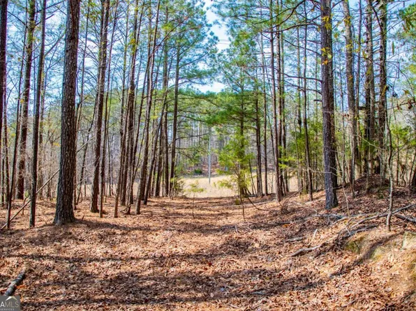 3940 Clinton Ct, Villa Rica, GA 30180
