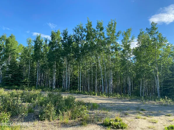 L36 Grandview Cir, Delta Junction, AK 99737