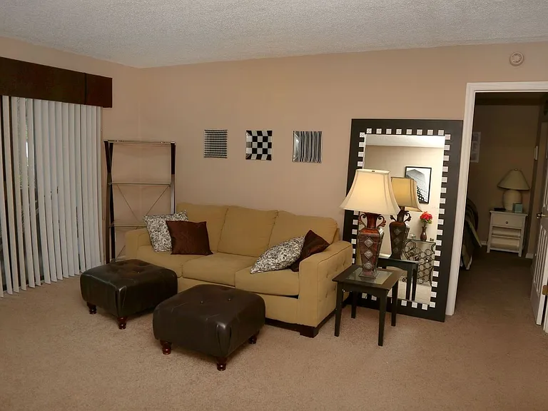 8209 Sun Spring Cir #31 — Photo 2