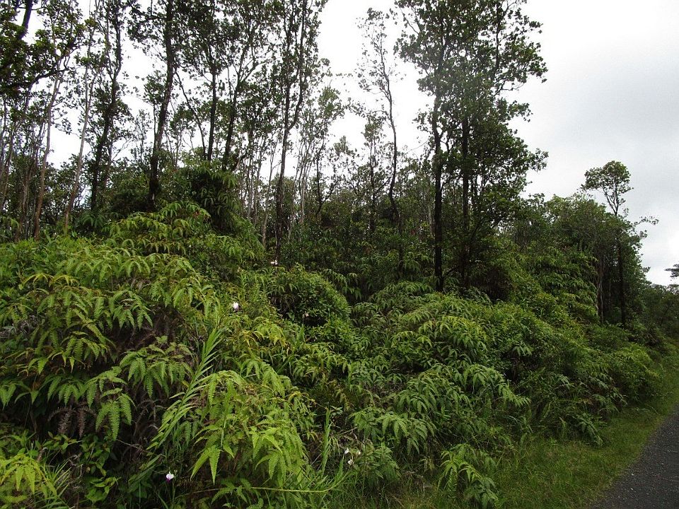 2nd image of Makoa Rd Lot 27