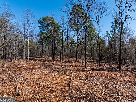 5th image of 10.5 Acres River Rd Lot 2