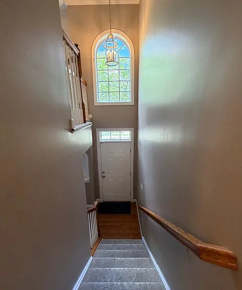 203 Altair Way — Photo 11