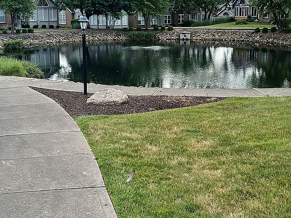 5th image of 1420 Whippoorwill Ln