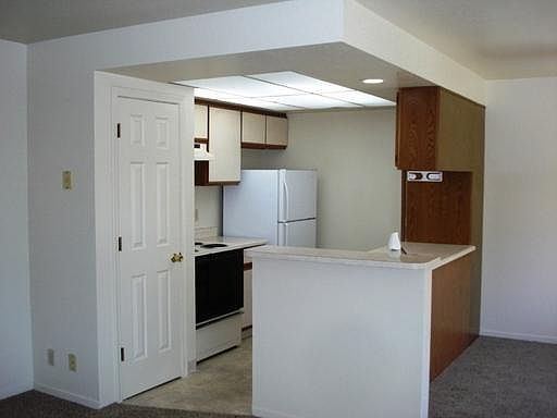 1480 Locust kitchen_02082018