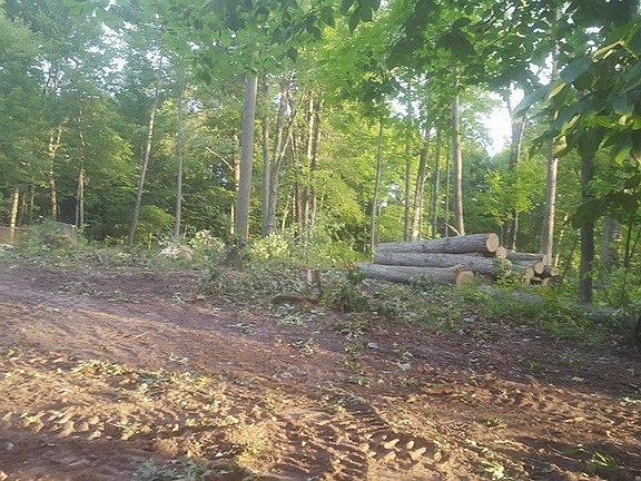 3rd image of 2005 N Elm Ave