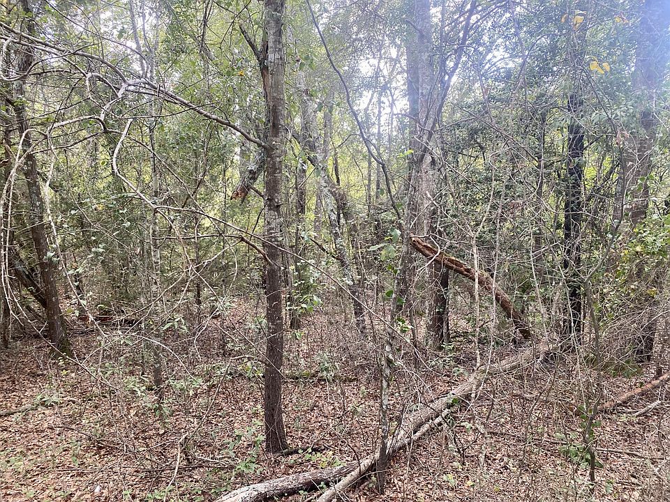 2nd image of 0 Jim Rucker Rd