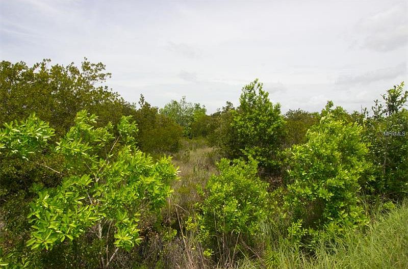 2nd image of 6035 Padgett Trl