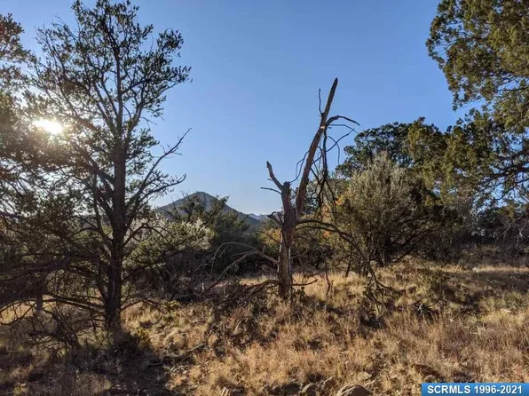 39 Vesuvius Way, Silver City, NM 88061