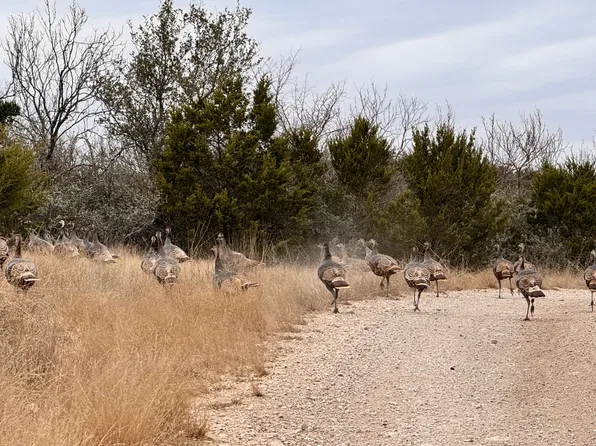 SD 16010 SD, Rocksprings, TX 78880