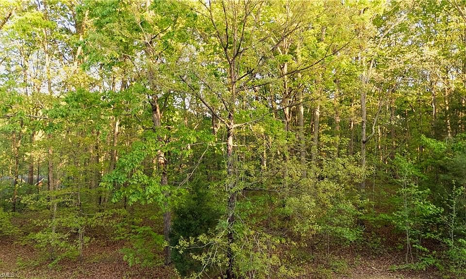 1st image of 303 Healing Springs Dr