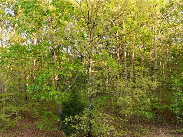 303 Healing Springs Dr, Denton, NC 27239