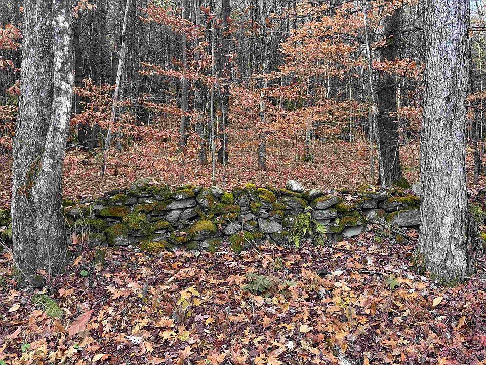 2nd image of 00 East Putney Brook Road #2