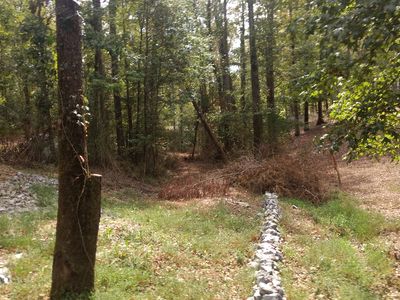 219 County Road 221, Arley, AL, 35541