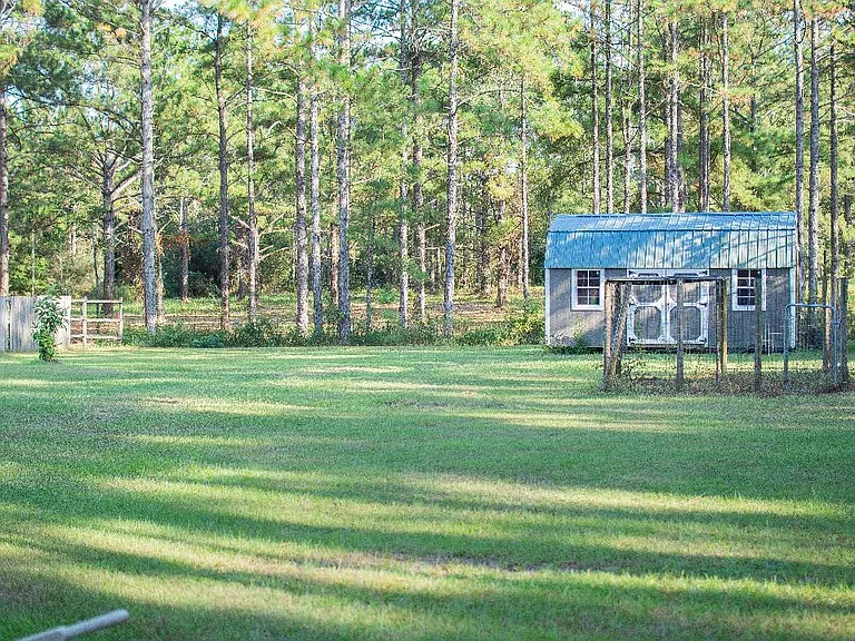 Large Backyard