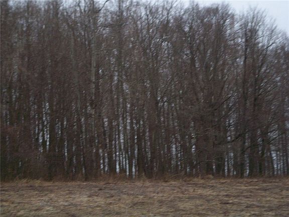 2nd image of Lot 5 Tamarack Lane