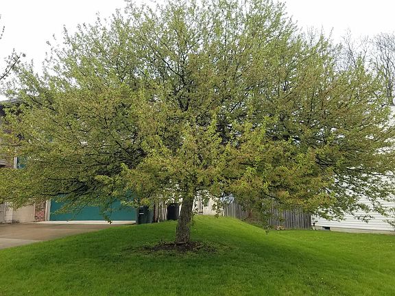 3rd image of 1500 Tall Meadows Dr