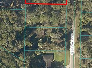 0 Sequoia Loop #18, Ocklawaha, FL 32179