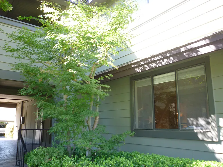 45 Ashford Ave — Photo 5