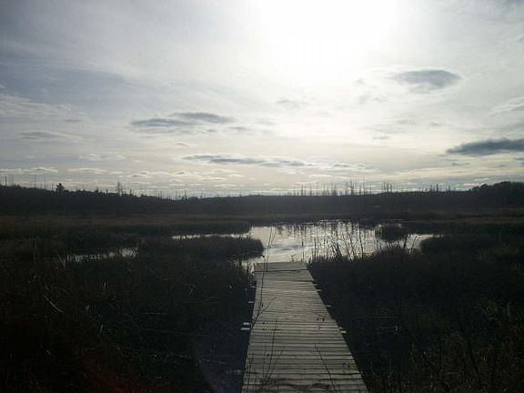 3rd image of 1860 Amik Lake Ln