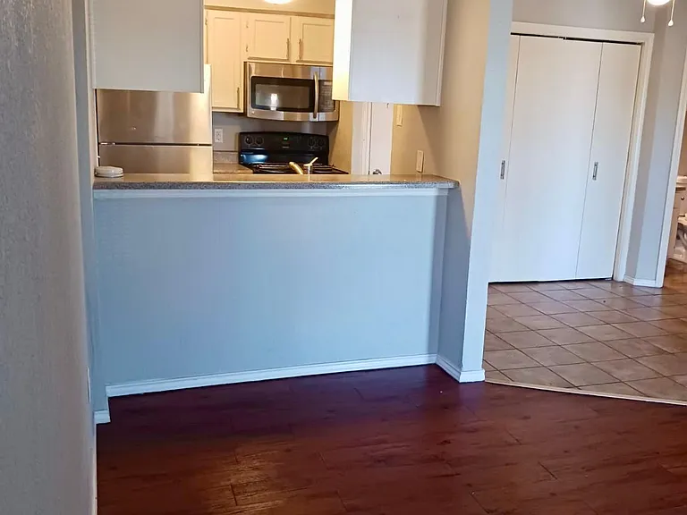 9520 Royal Ln #305A — Photo 2