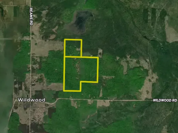 6402 Rustic Pine Trl, Alanson, MI 49706