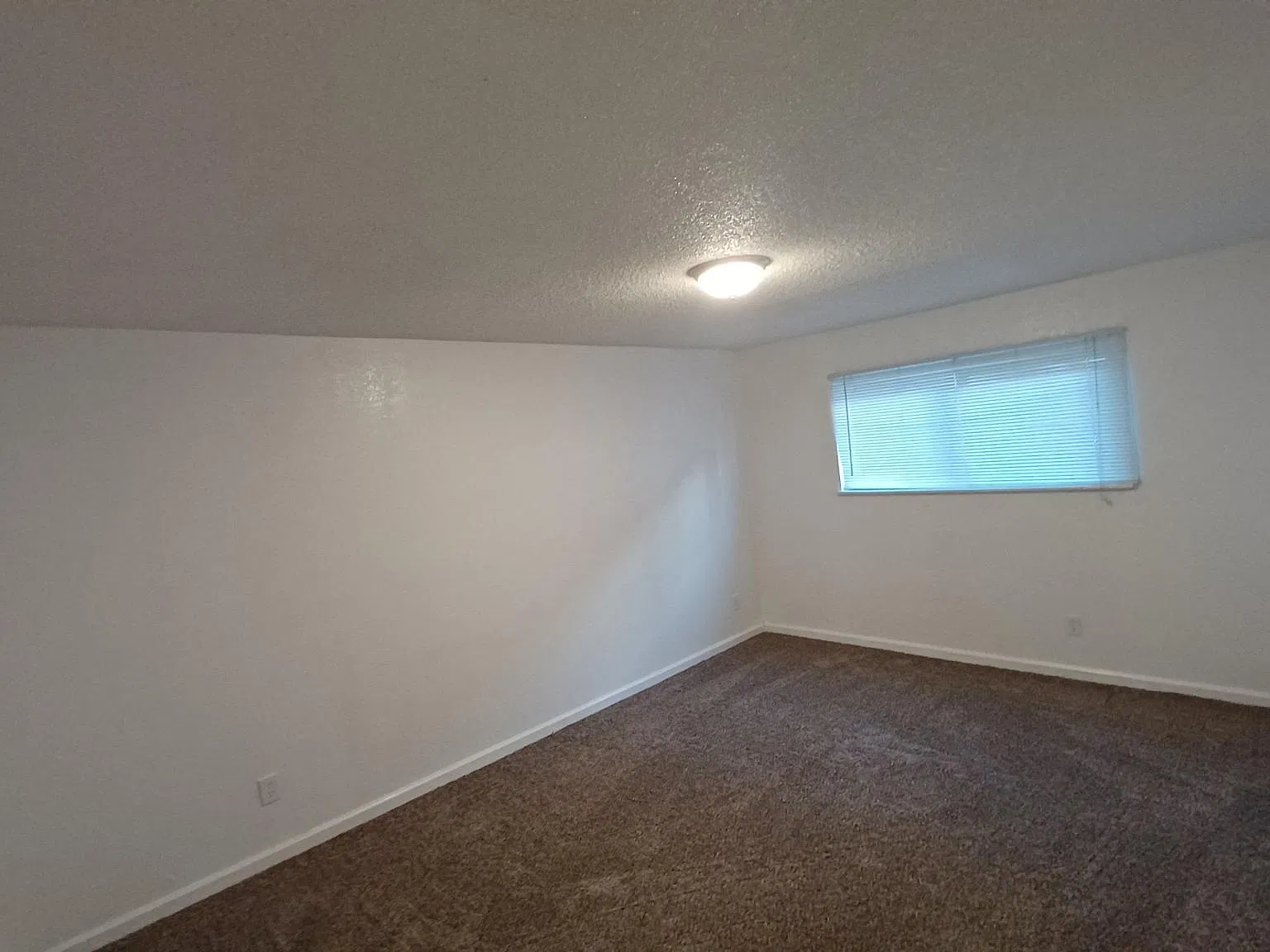 2605 Chester Dr — Photo 4