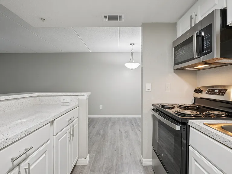 Serenity Lake Apartments — Photo 11