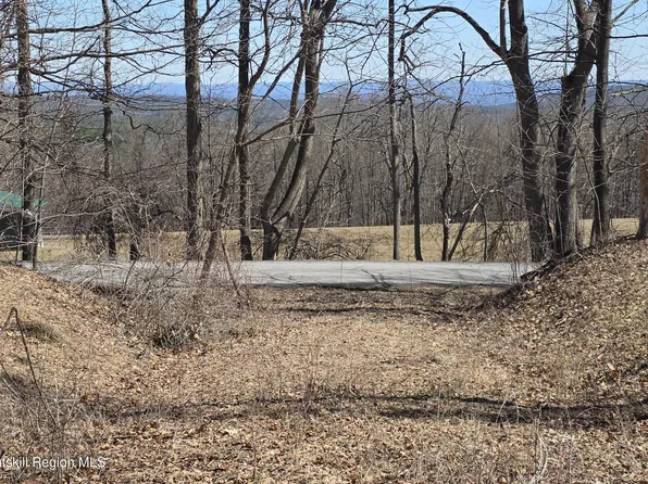 0 King Hill Road, Freehold, NY 12431