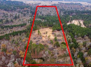 21404 County Road 294, Arp, TX 75750