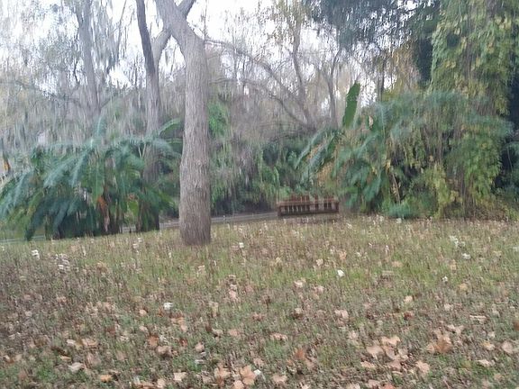 3rd image of 451 Southern Oaks Dr