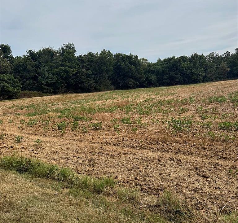 2nd image of 6310 County Road 651